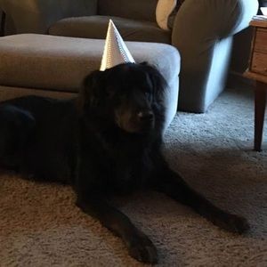 Meet your Posher, Melissa